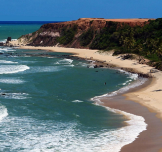 Imagem 1 do carrossel